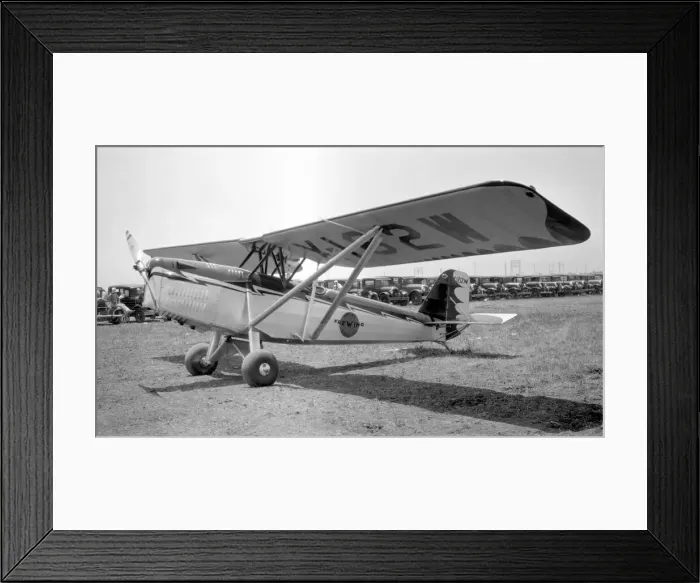 Framed Print : Keeler-Cornelius Fre-Wing X182W Framed Print : Keeler-Cornelius Fre-Wing X182W
