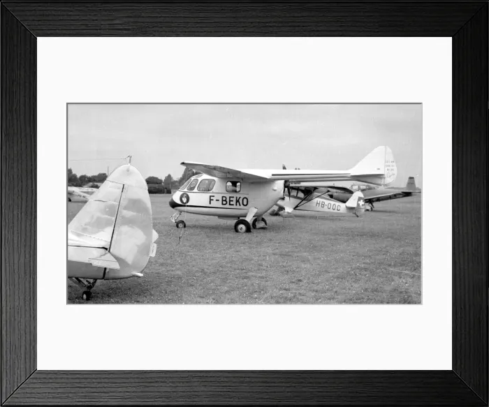 Framed Print : SECAN SUC. 10 Courlis F-BEKO Framed Print : SECAN SUC. 10 Courlis F-BEKO