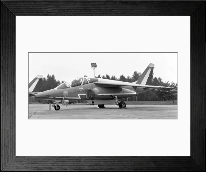 Framed Print : Patrouille de France - Dornier-Breguet Alpha-jet 54 - F-TERD
