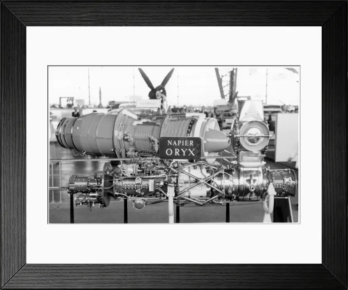 Framed Print : Napier Oryx Framed Print : Napier Oryx