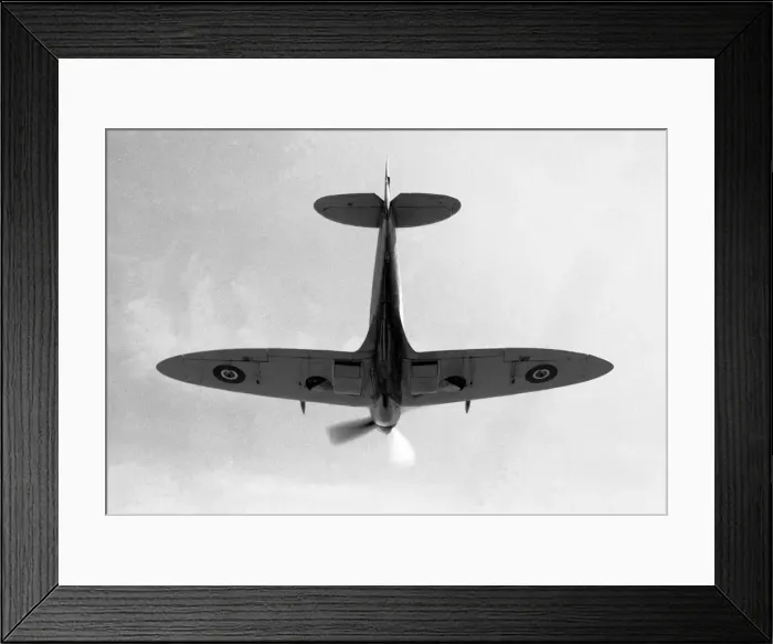 Framed Print : Supermarine Seafire FR. Mk. XV Framed Print : Supermarine Seafire FR. Mk. XV