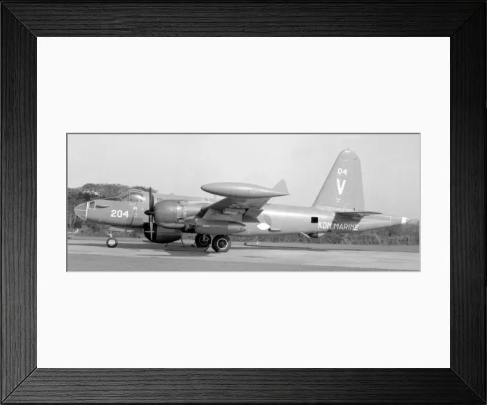 Framed Print : Lockheed SP-2H Neptune 204 Framed Print : Lockheed SP-2H Neptune 204