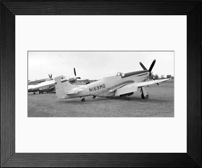 Framed Print : North American P-51D Mustang N169MD Framed Print : North American P-51D Mustang N169MD