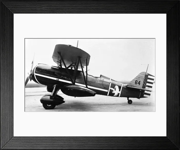 Framed Print : Curtiss P-6E Framed Print : Curtiss P-6E
