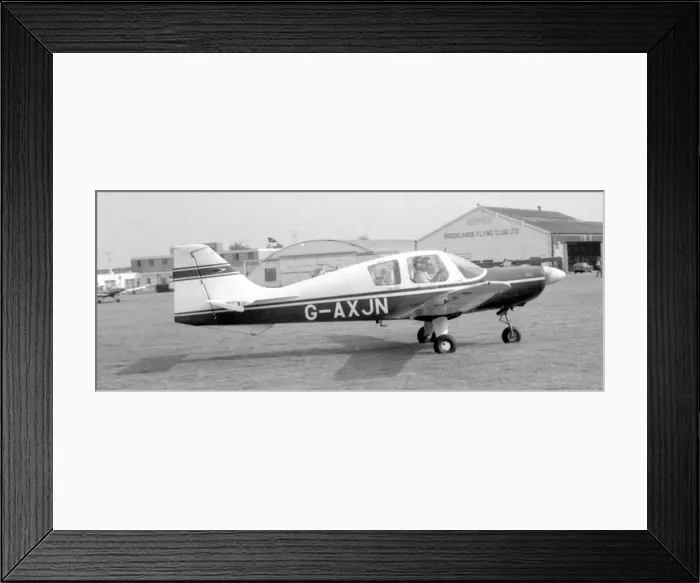 Framed Print : Beagle Pup 150 G-AXJN Framed Print : Beagle Pup 150 G-AXJN
