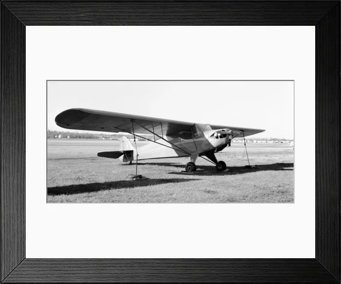 Framed Print : Taylorcraft A N19843 Framed Print : Taylorcraft A N19843