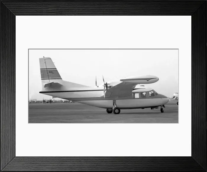 Framed Print : Piaggio P. 166 N7650E Framed Print : Piaggio P. 166 N7650E