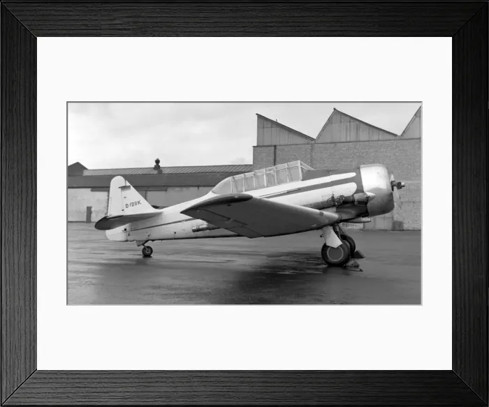 Framed Print : North American AT-6D Texan D-FDOK Framed Print : North American AT-6D Texan D-FDOK