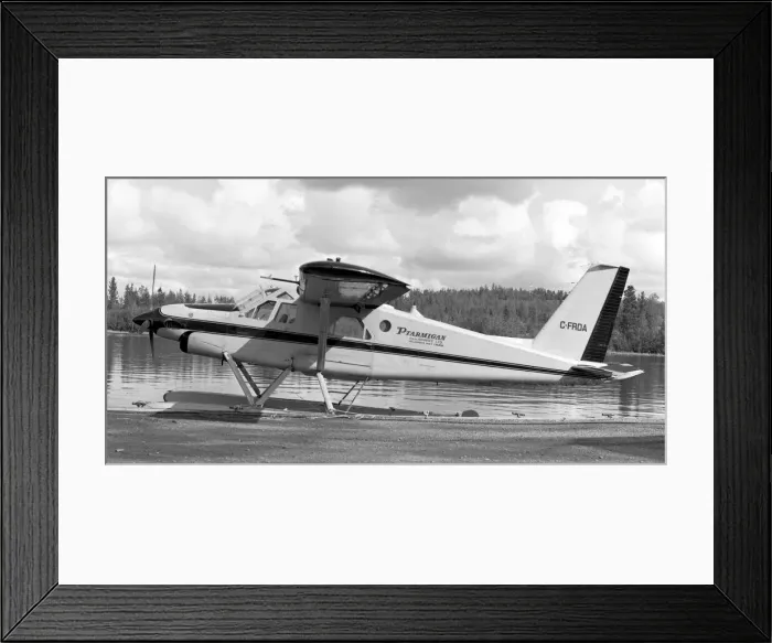 Framed Print : de Havilland Canada DHC-2 Turbo-Beaver C-FRDA Framed Print : de Havilland Canada DHC-2 Turbo-Beaver C-FRDA