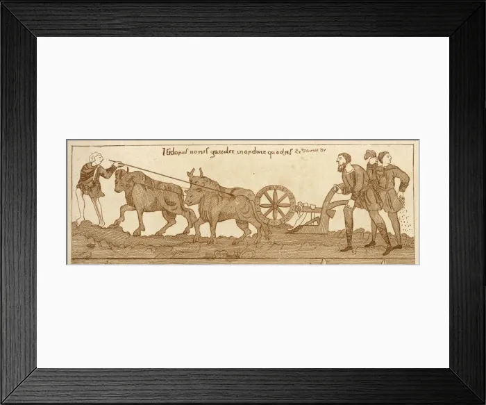 Framed Print : Famers ploughing with oxen Framed Print : Famers ploughing with oxen