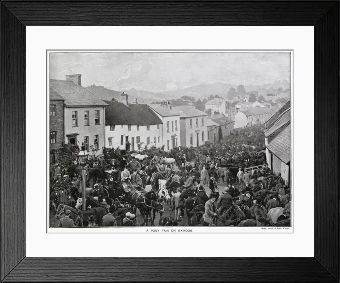 Framed Print : A pony fair on Exmoor. Date: 1897 Framed Print : A pony fair on Exmoor. Date: 1897