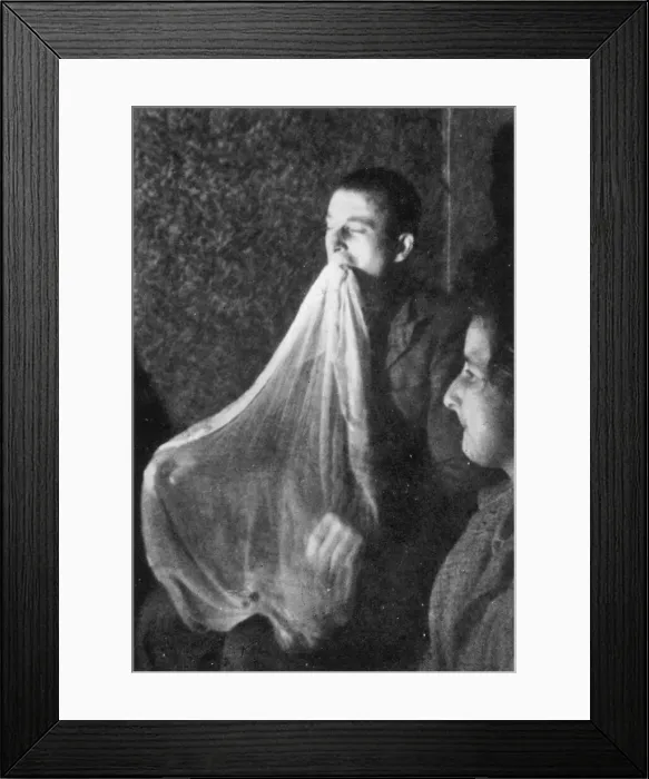 Framed Print : WEBBER & ECTOPLASM Framed Print : WEBBER & ECTOPLASM