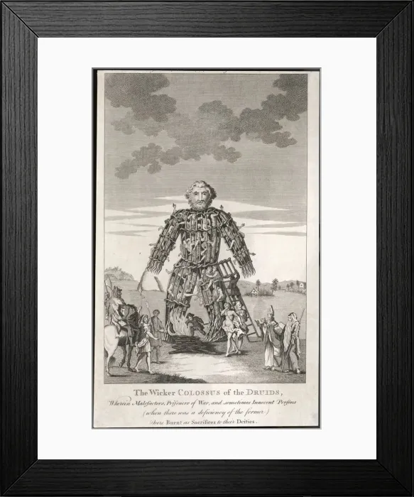 Framed Print : WICKER MAN (2) Framed Print : WICKER MAN (2)