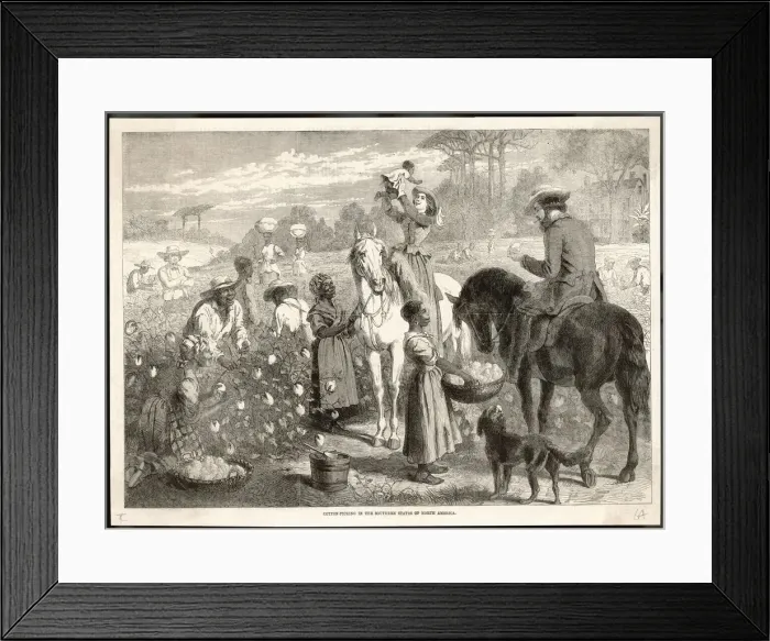 Framed Print : ON A PLANTATION Framed Print : ON A PLANTATION