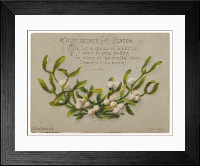 Framed Print : MISTLETOE / CARD / COMPLIMEN Framed Print : MISTLETOE / CARD / COMPLIMEN