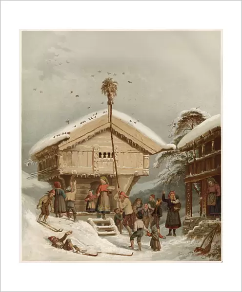 Raising the Bird-Pole (with a sheaf at the top): a traditional Norwegian Christmas
