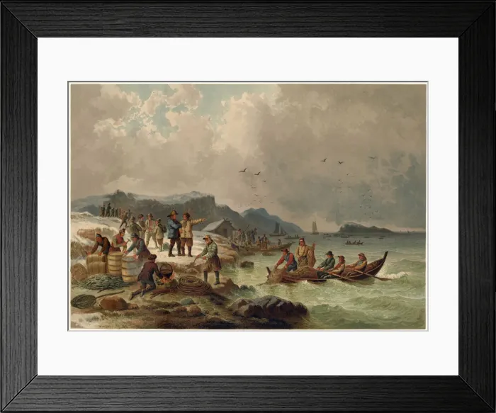 Framed Print : Winter scene on the coast of Bergen, Norway, fishermen bringing in their catch of herring Framed Print : Winter scene on the coast of Bergen, Norway, fishermen bringing in their catch of herring