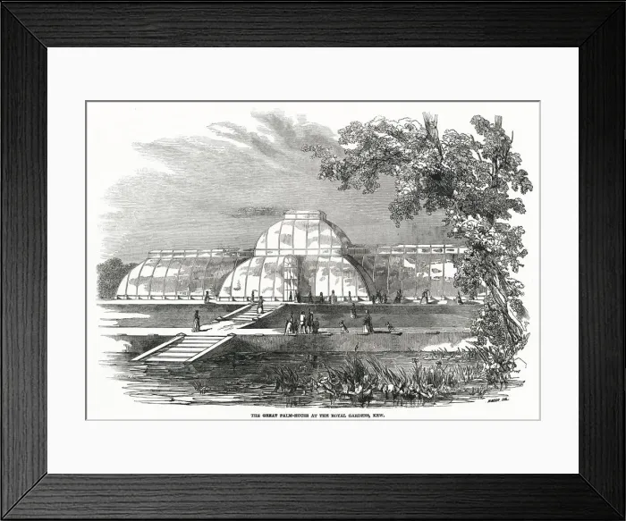 Framed Print : Exterior of the Great Palm-House at Royal Gardens. Date: 1848 Framed Print : Exterior of the Great Palm-House at Royal Gardens. Date: 1848