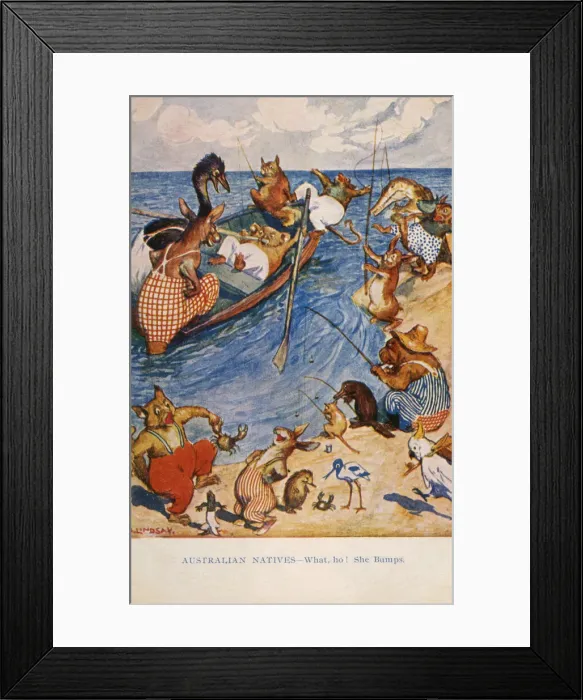 Framed Print : AUSTRALIAN WILDLIFE Framed Print : AUSTRALIAN WILDLIFE