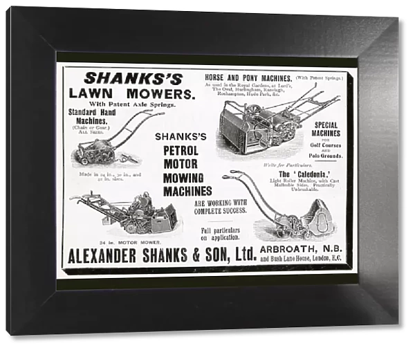 Advert for Alexander Shank & Son, Ltd lawn mowers 1905