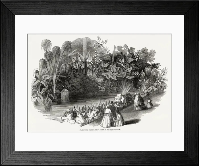 Framed Print : Chatsworth House - Conservatory 1846 Framed Print : Chatsworth House - Conservatory 1846