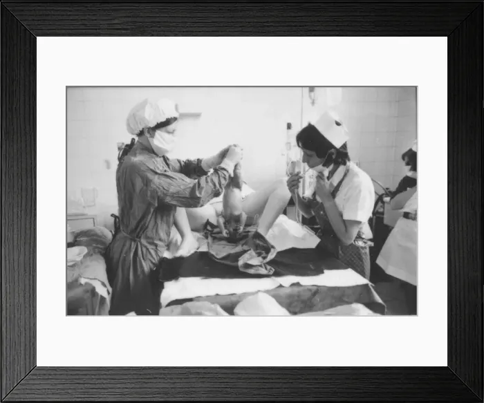 Framed Print : Birth of a baby, Rochford General Hospital, Essex Framed Print : Birth of a baby, Rochford General Hospital, Essex