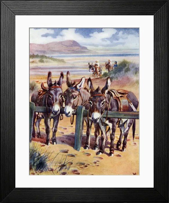 Framed Print : Donkeys - Donkeys on the beach tethered to a rail waiting to be ridden. Date: circa 1920 Framed Print : Donkeys - Donkeys on the beach tethered to a rail waiting to be ridden. Date: circa 1920