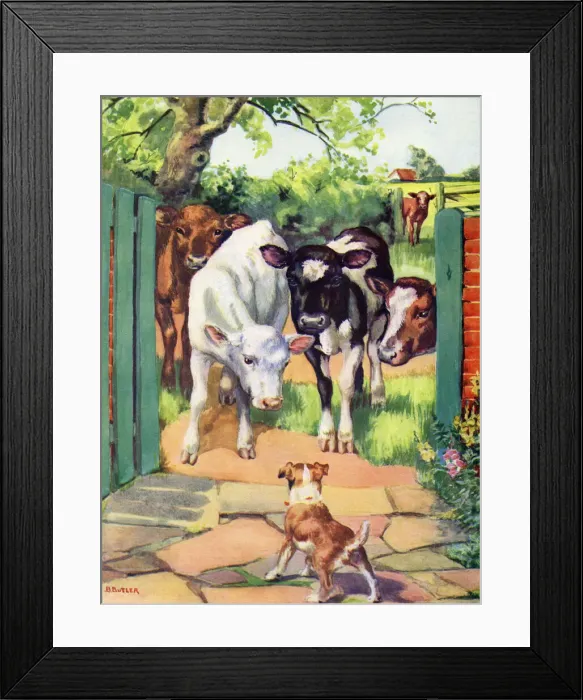Framed Print : Cows and a dog Framed Print : Cows and a dog