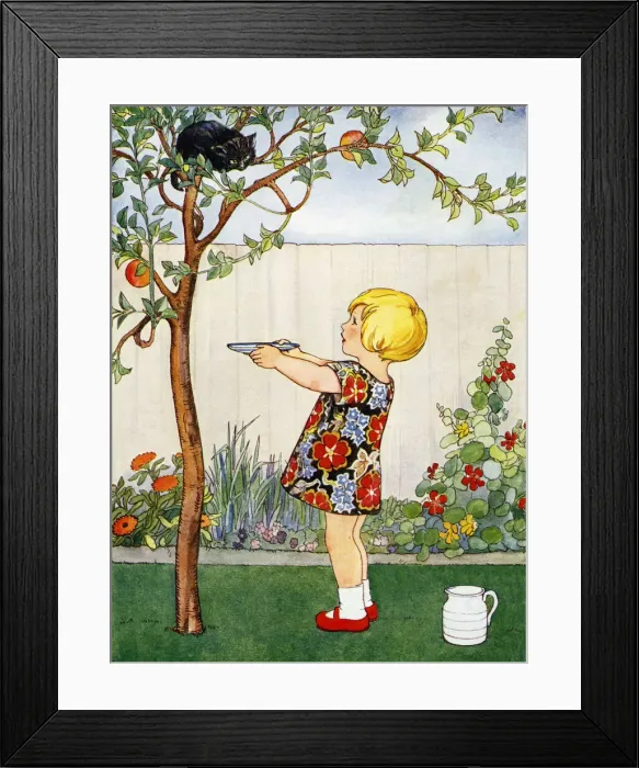 Framed Print : Kitten up an apple tree Framed Print : Kitten up an apple tree