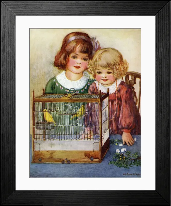 Framed Print : Canaries in a cage Framed Print : Canaries in a cage