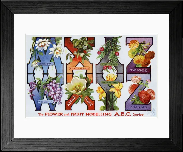 Framed Print : Flower & Fruit ABC Framed Print : Flower & Fruit ABC