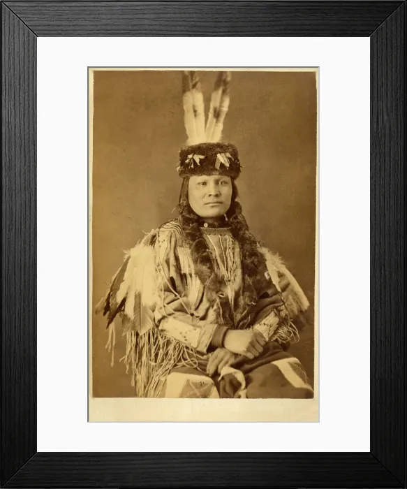 Framed Print : David Frances Barry photo - Brave Bear Framed Print : David Frances Barry photo - Brave Bear