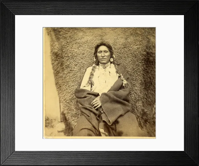 Framed Print : David Frances Barry photo - Wolf Chief Framed Print : David Frances Barry photo - Wolf Chief