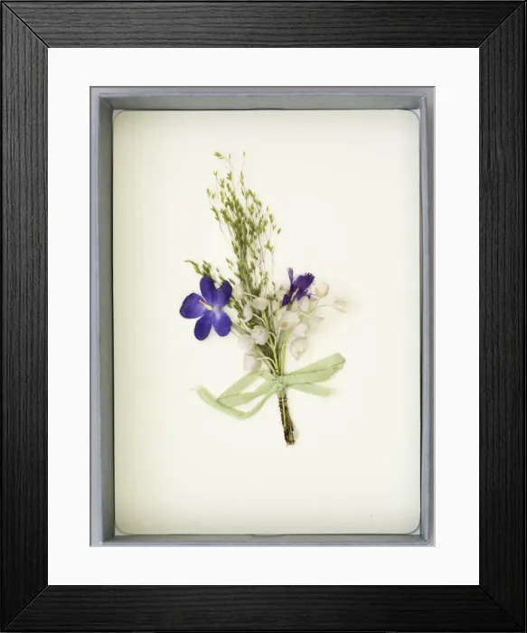 Framed Print : Suffragette Button Hole Framed Print : Suffragette Button Hole