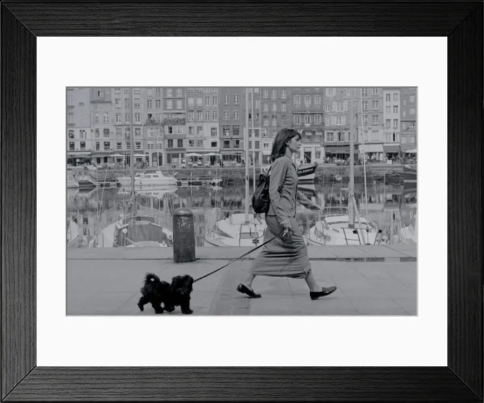 Framed Print : Walking the dog Framed Print : Walking the dog