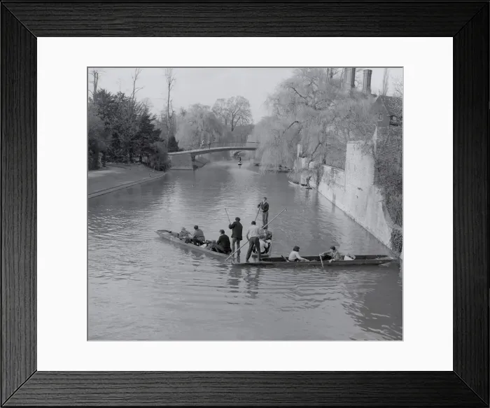Framed Print : Punters. Punts on colision course River Cam Cambridge England Date: circa 1960 Framed Print : Punters. Punts on colision course River Cam Cambridge England Date: circa 1960