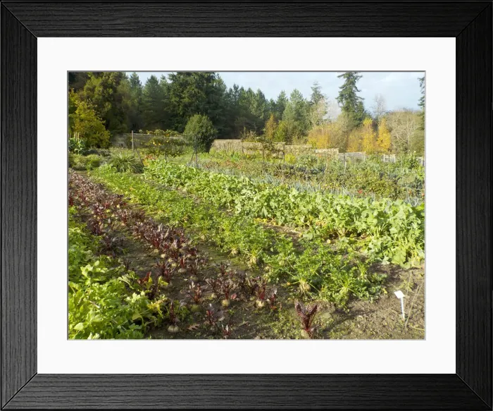 Framed Print : Gravetye Manor - West Hoathly, Sussex Framed Print : Gravetye Manor - West Hoathly, Sussex