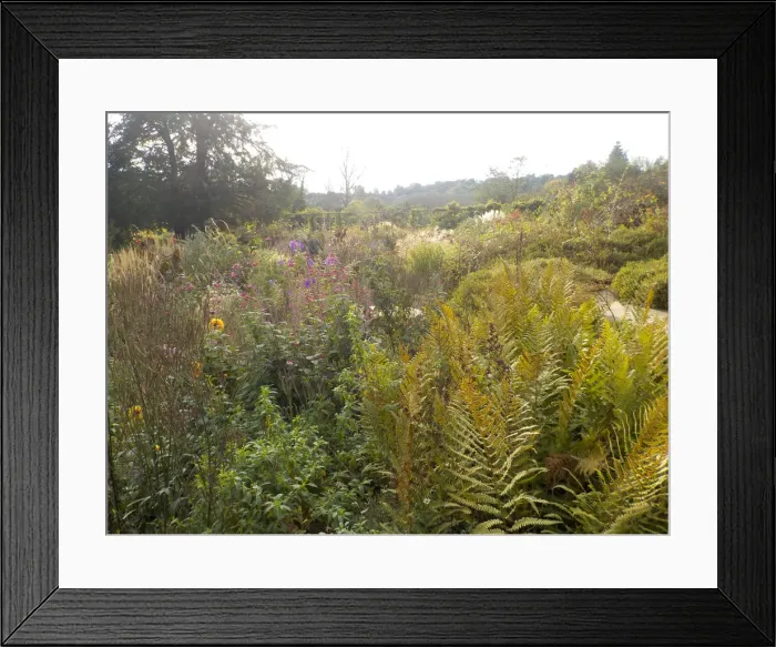Framed Print : Gravetye Manor - West Hoathly, Sussex Framed Print : Gravetye Manor - West Hoathly, Sussex