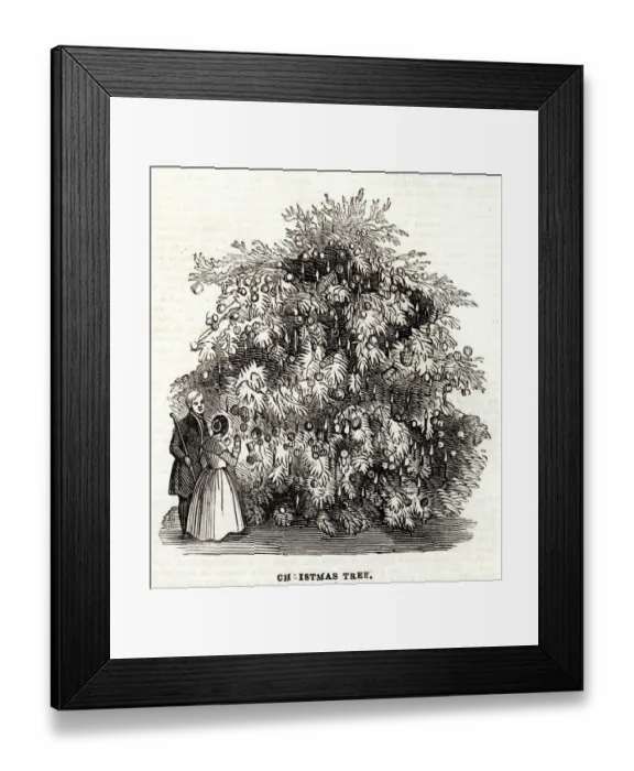 Framed Print : Christmas tree at the Temperance Hall 1845 Framed Print : Christmas tree at the Temperance Hall 1845