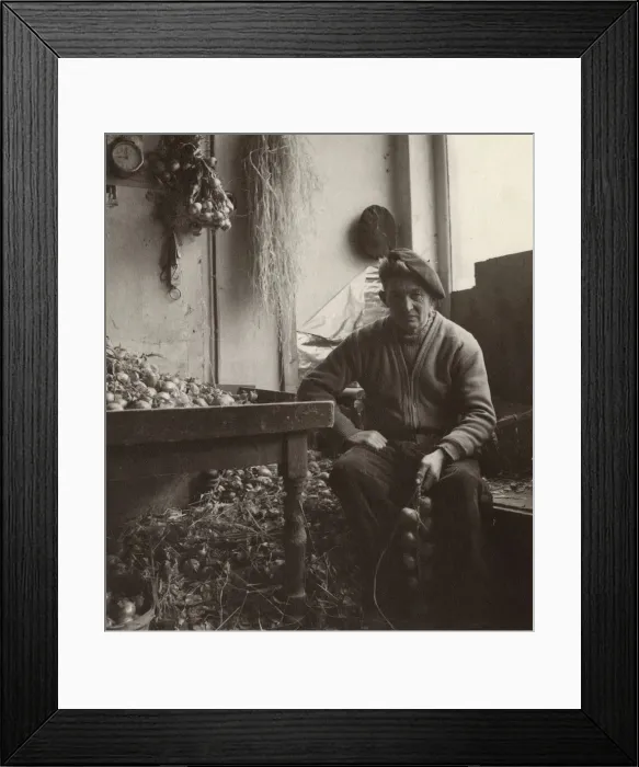 Framed Print : Breton onion seller stringing onions Framed Print : Breton onion seller stringing onions