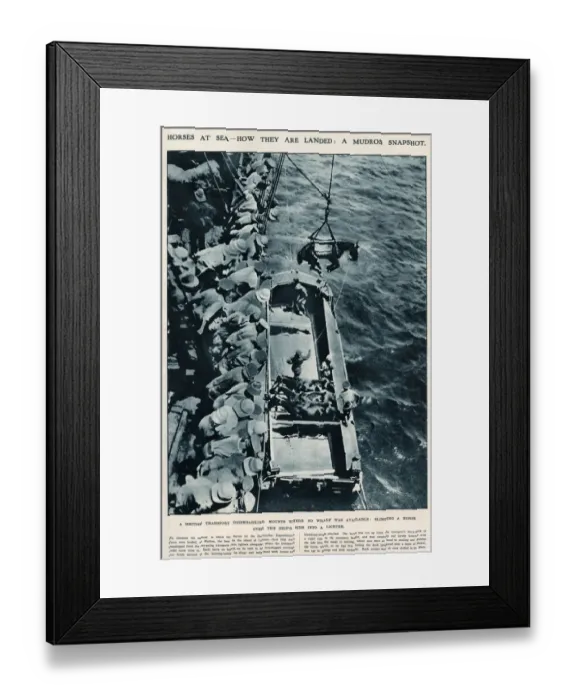 Framed Print : Horses at sea, using slings WWI Framed Print : Horses at sea, using slings WWI
