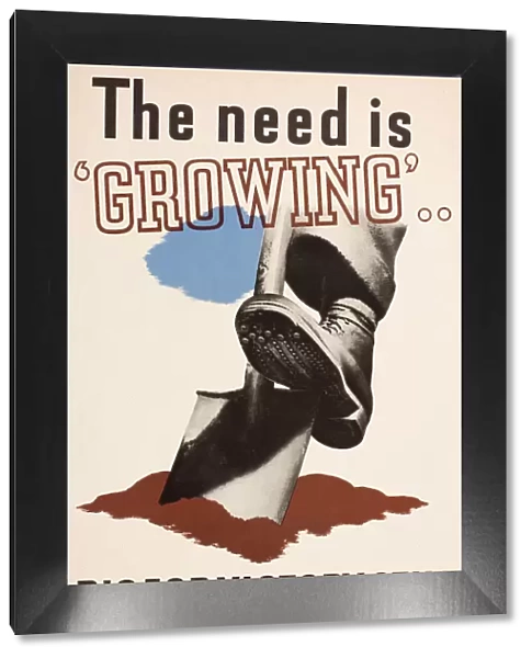 Poster, The need is growing, Dig for Victory still, WW2