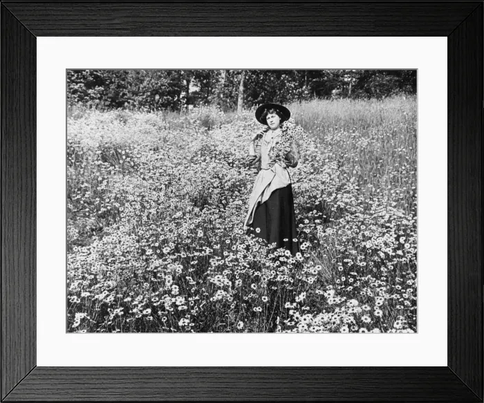 Framed Print : Gathering wild flowers, 1890s Framed Print : Gathering wild flowers, 1890s