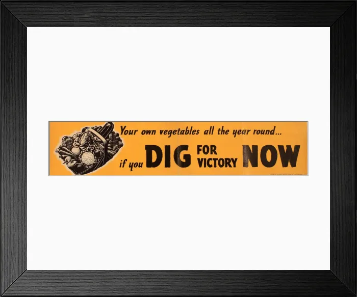 Framed Print : Poster, Dig For Victory Now, WW2 Framed Print : Poster, Dig For Victory Now, WW2