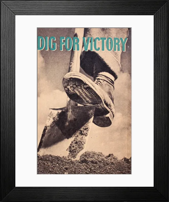 Framed Print : Poster, Dig for Victory, WW2 Framed Print : Poster, Dig for Victory, WW2
