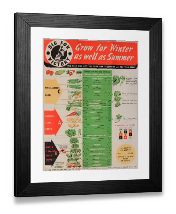 Framed Print : Poster, Dig for Victory, WW2 Framed Print : Poster, Dig for Victory, WW2
