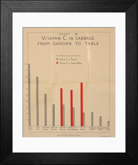 Framed Print : Poster, Chart IV, Vitamin C in cabbage, WW2 Framed Print : Poster, Chart IV, Vitamin C in cabbage, WW2