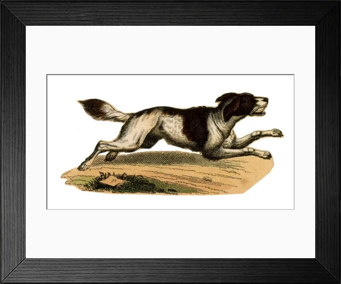 Framed Print : Scrap - decoupage design - Dog Framed Print : Scrap - decoupage design - Dog