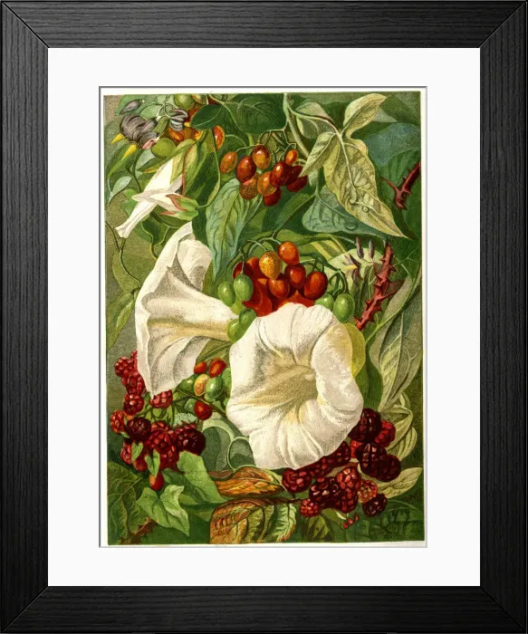 Framed Print : Victorian illustration, September and October Framed Print : Victorian illustration, September and October