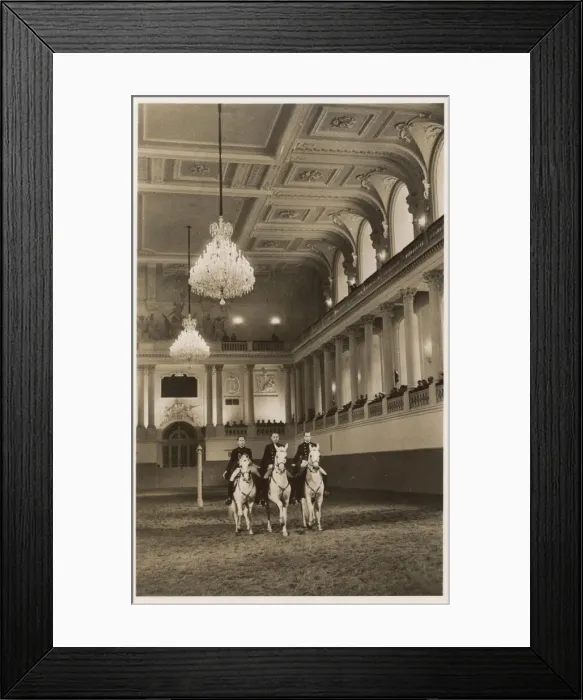 Framed Print : Pas de Trois, Spanish Riding School, Vienna, Austria Framed Print : Pas de Trois, Spanish Riding School, Vienna, Austria